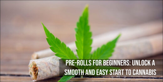 Pre-Roll for Beginners