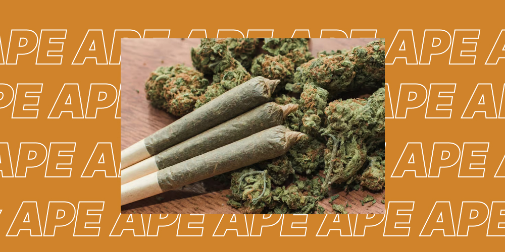 Pre-Rolls for Beginners: Unlock a Smooth and Easy Start to Cannabis Three pre-rolled cannabis joints resting among several large cannabis buds on a dark wooden surface, framed by an orange border with repetitive text.
