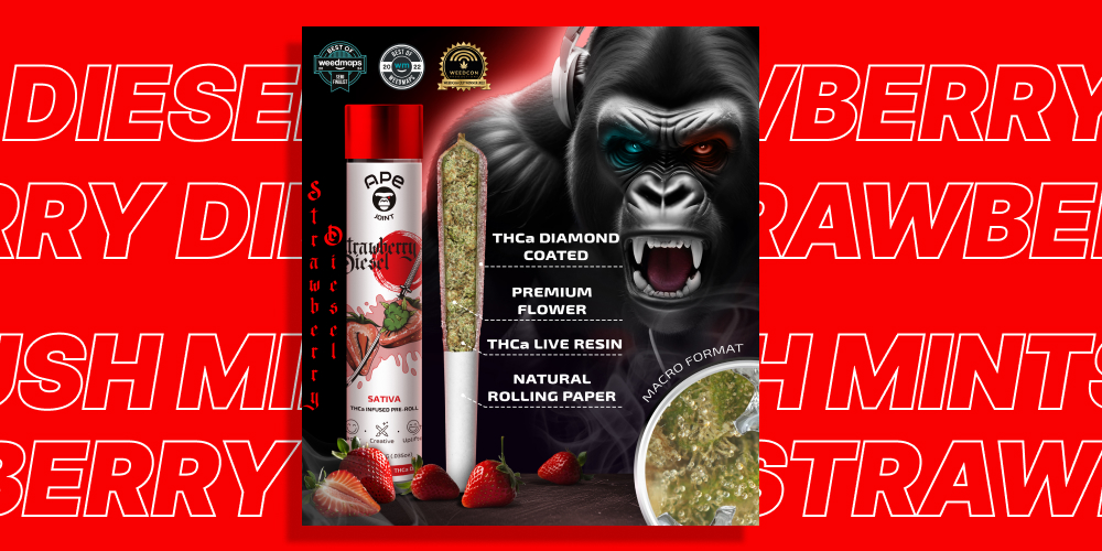 Strawberry Diesel – Joint THCa Live Resin Infused and THCa Diamond Coated: Best Joint 2025 Strawberry Diesel joint and box placed among strawberries under natural lighting