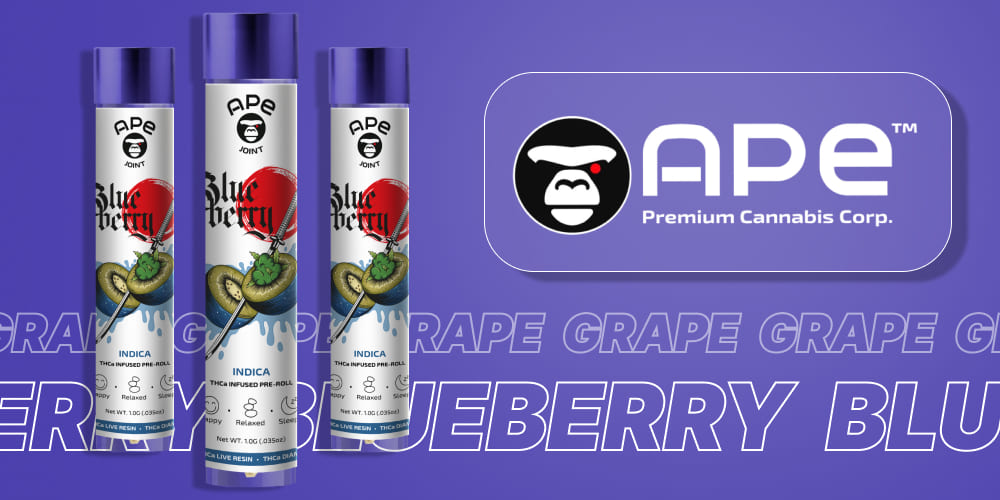 Blueberry 1g Joint -THCa Live Resin Infused Top part of Blueberry 1g Joint -THCa Live Resin Infused packaging with branded design