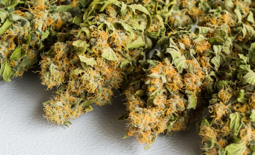 A pile of cured cannabis buds, featuring light green and prominent orange pistils on a white background.