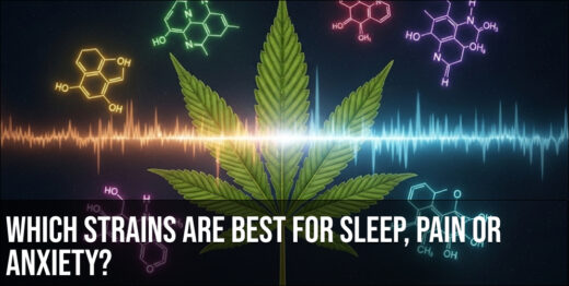 Which strains are best for sleep, pain or anxiety?