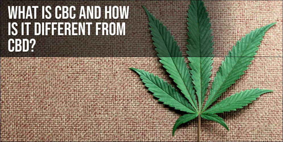 What Is CBC and How Is It Different from CBD? What Is CBC and How Is It Different from CBD