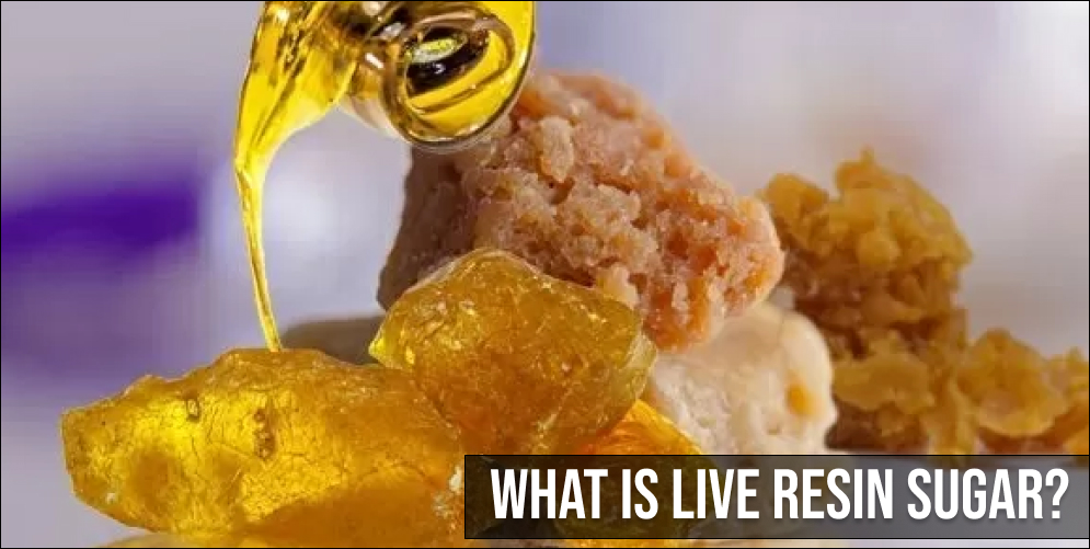 What Is Live Resin Sugar? What Is Live Resin Sugar