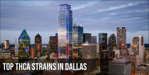 Top THCA strains in Dallas
