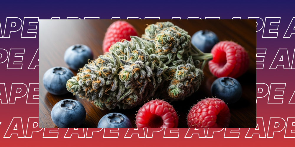 Close-up of a Crazy Berry THCA flower with berries on a wooden surface