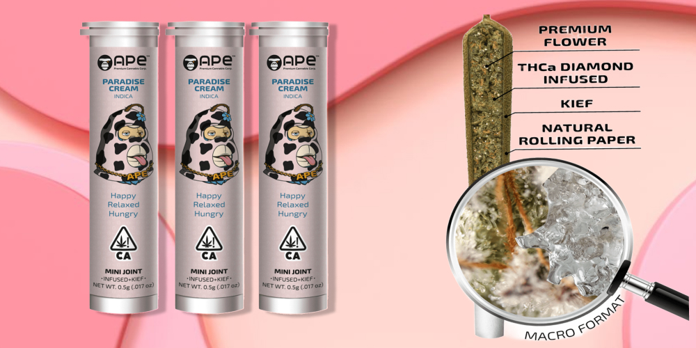 Paradise Cream — Mini joint infused+kief (0.5g) Three cannabis product tubes and a magnified view of a joint showing its contents.