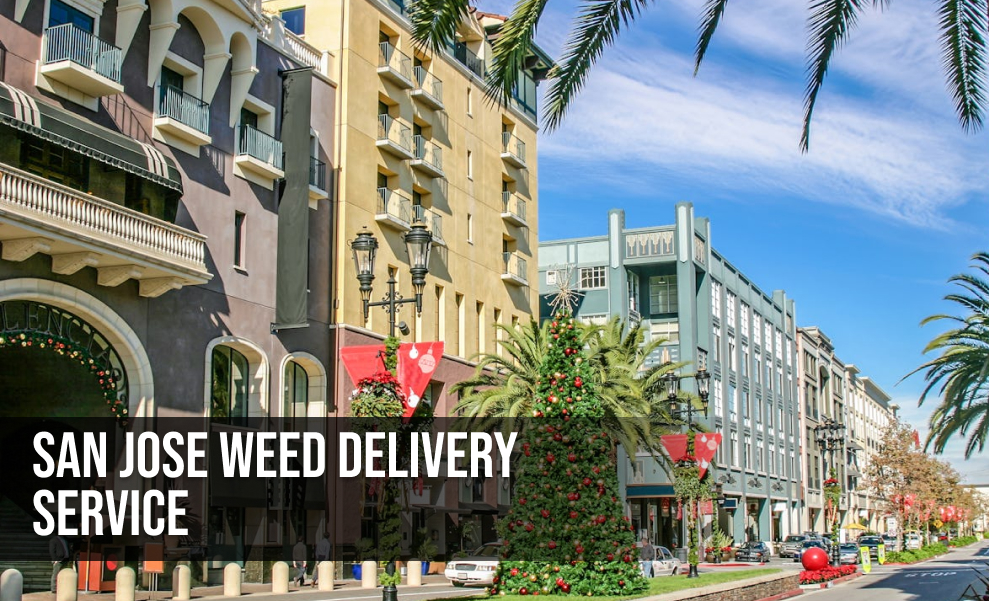 A sunny street view of upscale buildings in San Jose, California, lined with palm trees, overlaid with the text: "SAN JOSE WEED DELIVERY SERVICE".