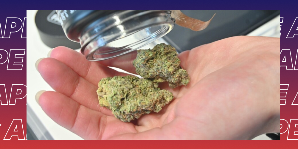 Top 5 Best weed strains in Santa Rosa