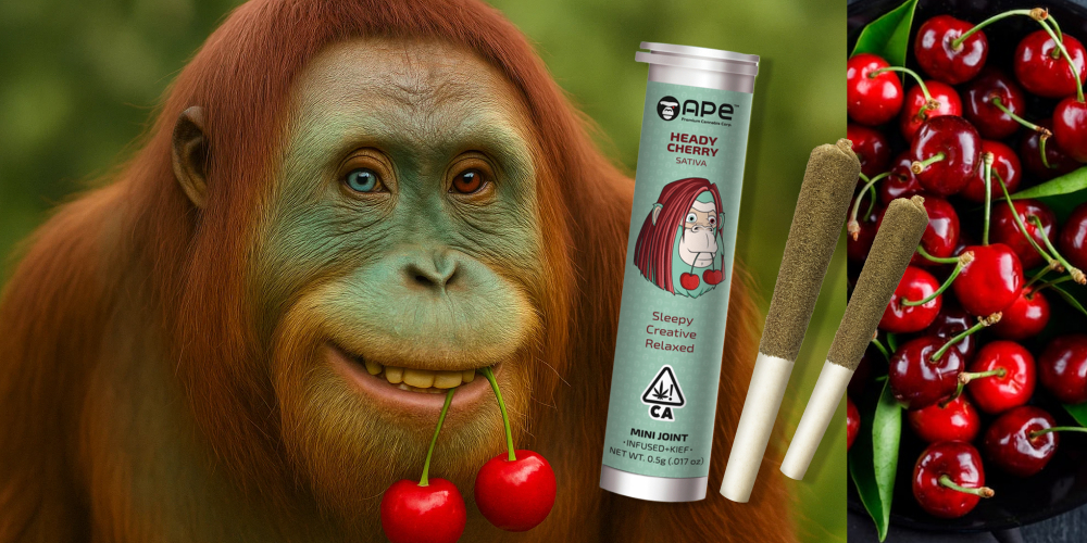 Heady Cherry — Mini Joint Infused + Kief (0.5g) A realistic-looking orangutan with a cherry stem in its mouth, a mini joint container, and two pre-rolled joints.