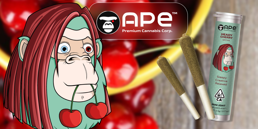 Heady Cherry — Mini Joint Infused + Kief (0.5g) A cartoon ape holds a cherry stem in its mouth, positioned next to a mini joint container and two pre-rolled joints. The background shows a bowl of cherries.