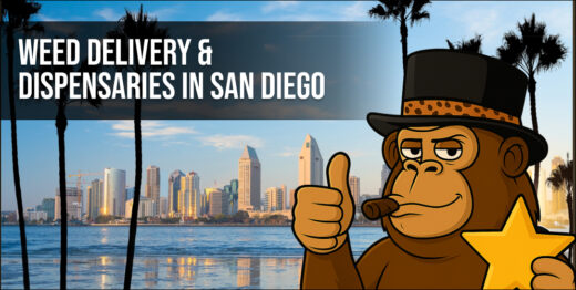 Weed Delivery & Dispensaries in San Diego – The Ultimate 2025 Guide
