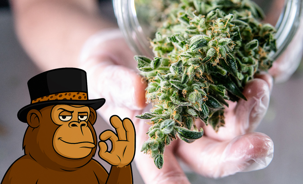 Weed Dispensaries in San Diego
