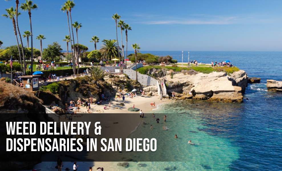 A stunning aerial view of a San Diego beach with sandy coves, turquoise water, and people swimming and sunbathing. Palm trees and rocky cliffs line the shore. The text "WEED DELIVERY & DISPENSARIES IN SAN DIEGO" is in the bottom left corner.