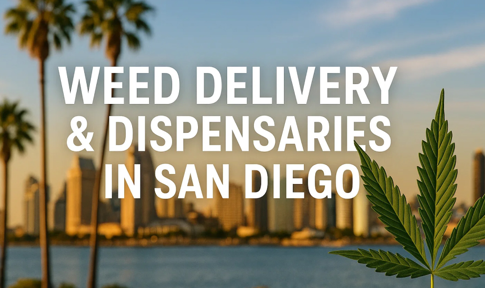 A large, stylized cannabis leaf is in the foreground, with a blurred image of the San Diego skyline and palm trees in the background. The text "WEED DELIVERY & DISPENSARIES IN SAN DIEGO" is overlaid on the image.