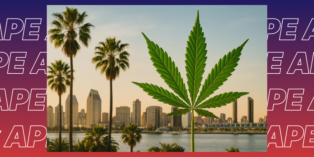 A stylized image of a large green cannabis leaf centered in front of the San Diego skyline and palm trees. The background has a purple and red gradient with repeated "APE" text.