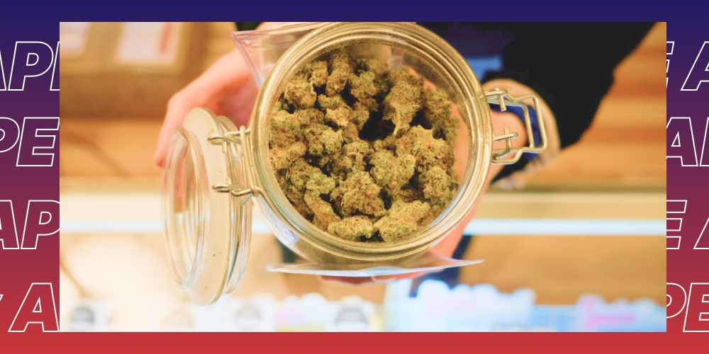 A person's hands holding up a clear glass jar filled with dried cannabis buds.
