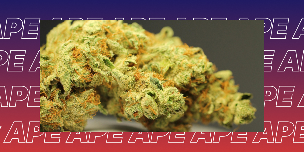 The Best Weed Dispensaries In California The Best Weed Dispensaries In California
