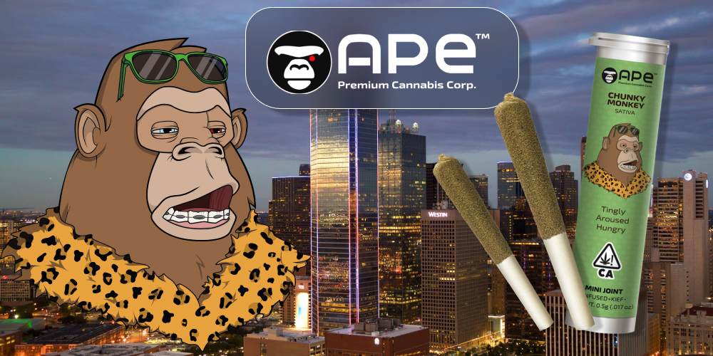 Chunky Monkey — Mini joint infused+kief (0.5g) An illustrated ape with sunglasses and a leopard-print scarf stands next to Ape Premium Cannabis Corp. branding and two Chunky Monkey mini joints against a city skyline at dusk.