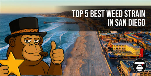 Top 5 Best Weed Strains in San Diego