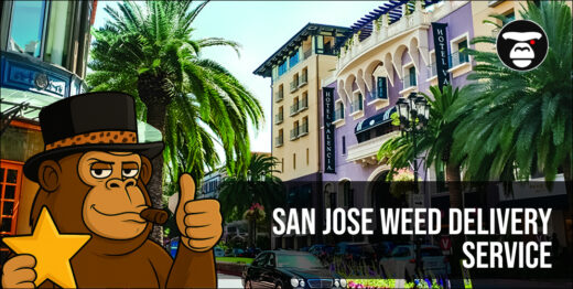 San Jose Weed Delivery Service