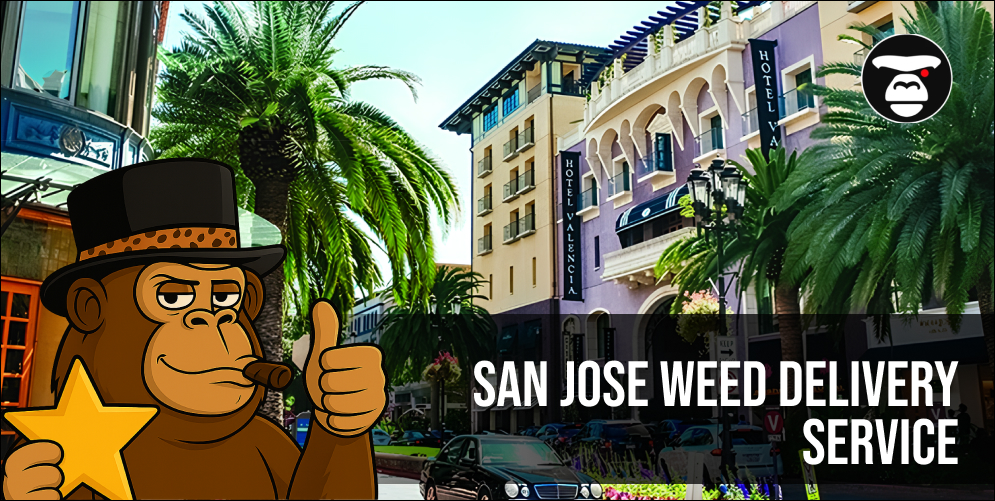 San Jose Weed Delivery Service