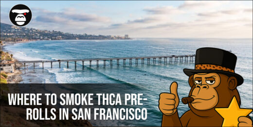 Where to Smoke THCA Pre-Rolls in San Francisco