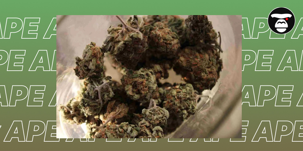 Top 5 Flower Weed Strains in Riverside Top 5 Flower Weed Strains in Riverside