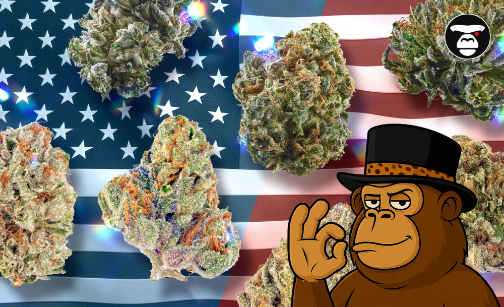 Top 5 Flower Weed Strains in Oakland