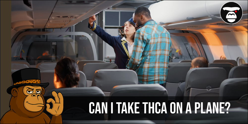 Can I take THCA on a plane