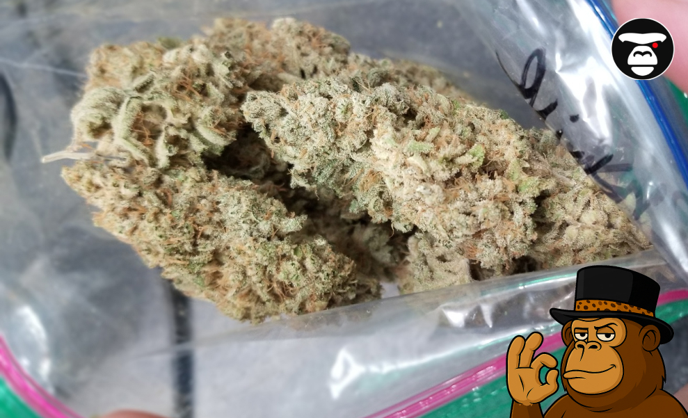 The Origins of the OG Weed Strain