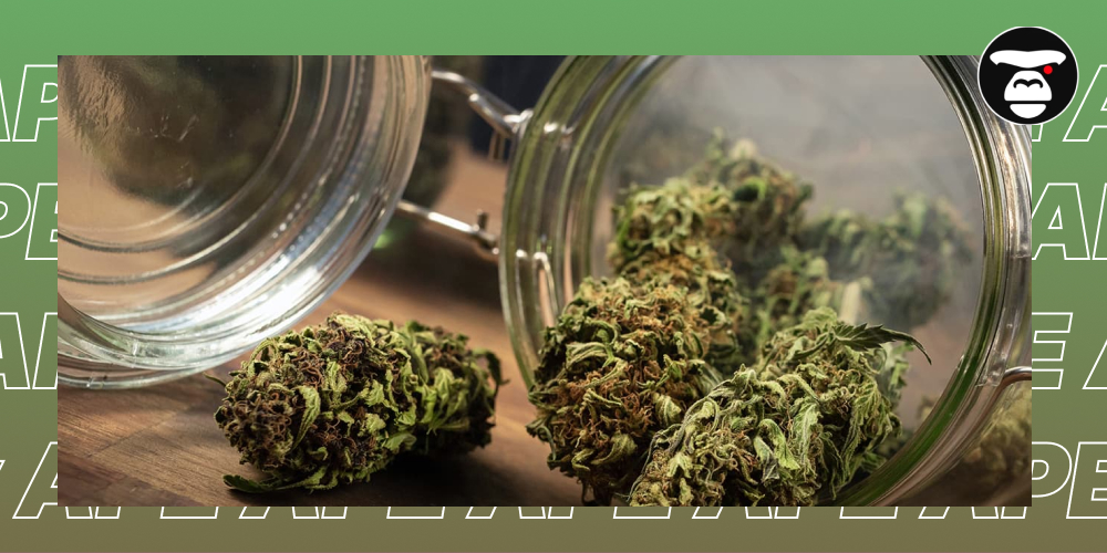 Cannabis flower buds in a clear glass storage jar on a wooden surface, with a faint smoke effect.