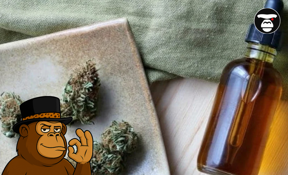 Four dried cannabis flower buds next to a dropper bottle filled with amber-colored cannabis oil tincture.