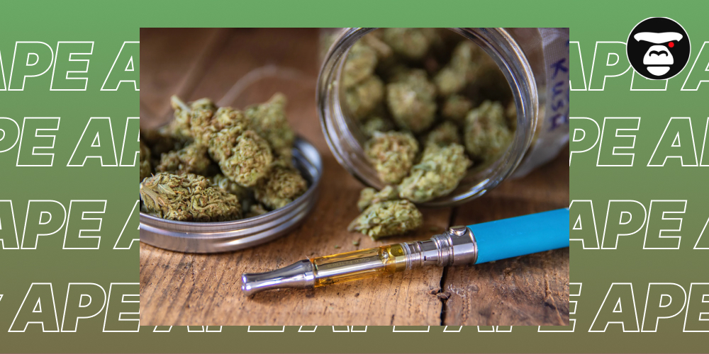 Top 5 Weed Sauce cartridges in Santa Rosa Close-up of dried cannabis buds spilling from a jar next to a blue vape pen with a gold-colored cartridge.