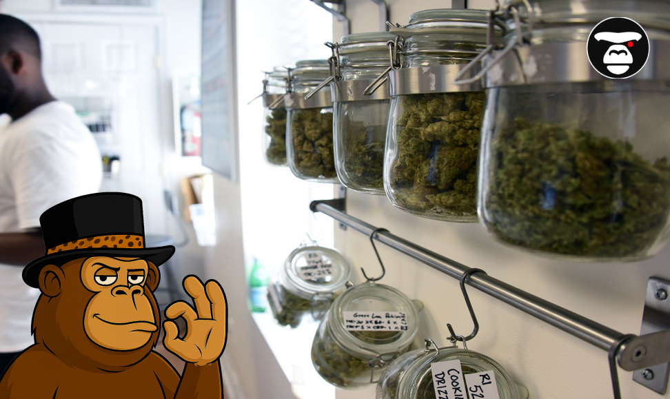 Weed Dispensaries in San Diego Weed Dispensaries in San Diego