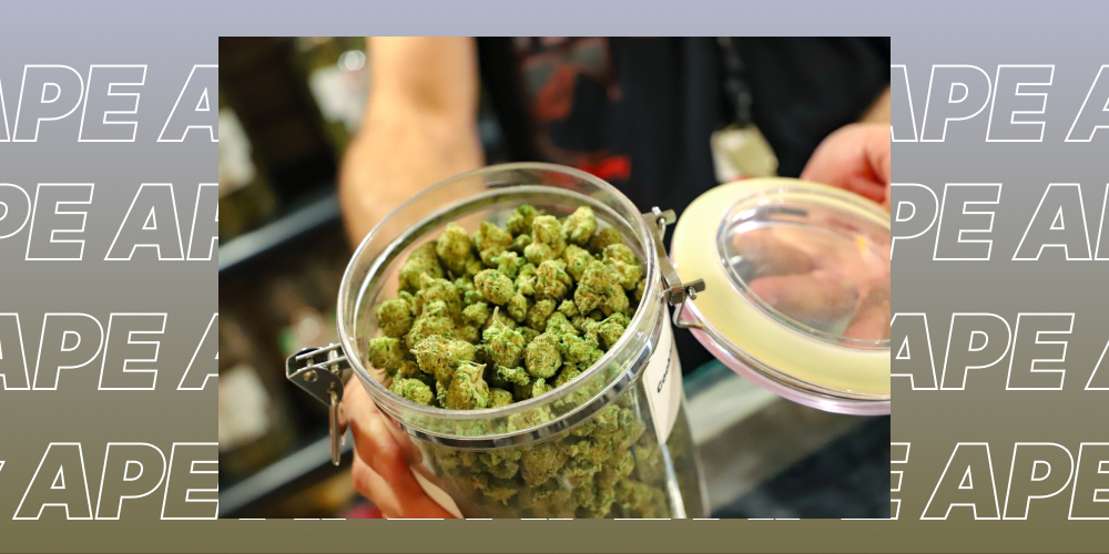 Weed Delivery and Dispensaries in Riverside Close-up of hands holding a large clear clamp-top jar filled with bright green cannabis buds at a dispensary. The background features the word 'APE'.