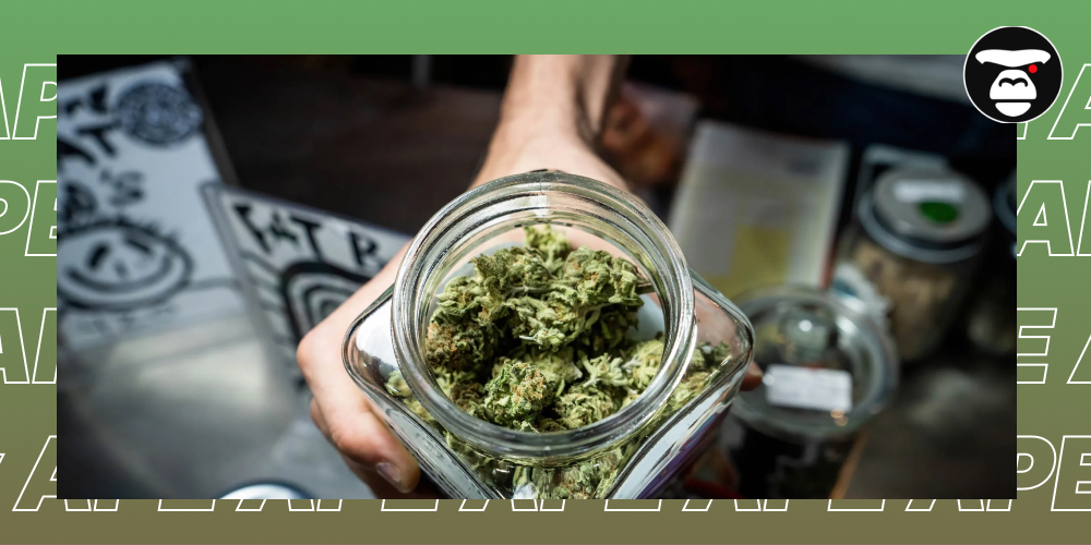 Weed Dispensaries in San Diego A person's hand holding an open glass jar filled with dried cannabis flower buds.