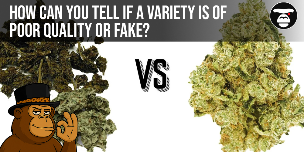 How can you tell if a variety is of poor quality or fake