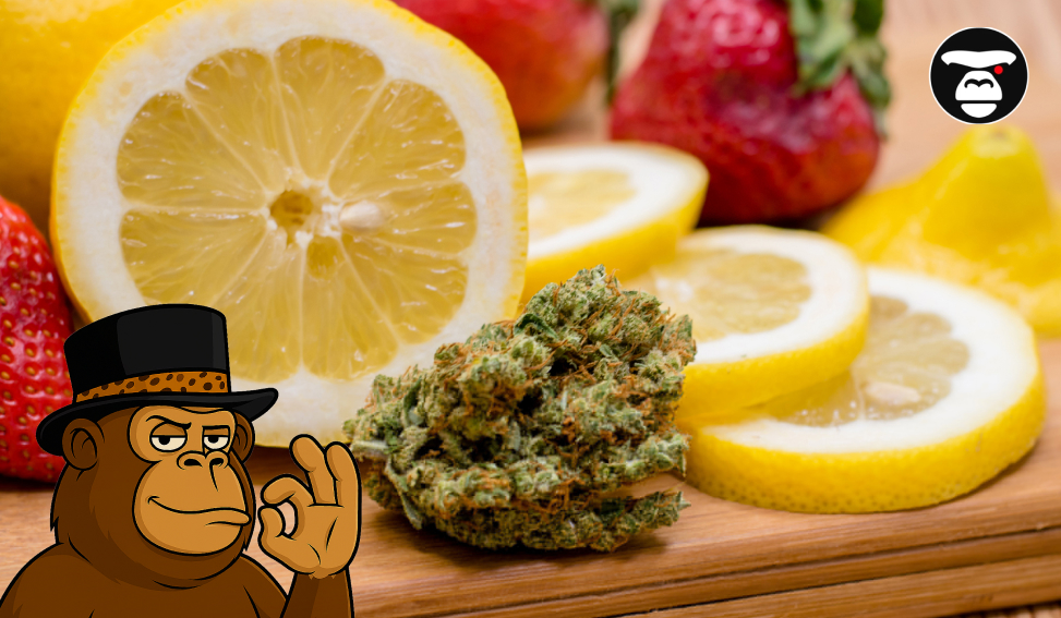 A cannabis bud surrounded by sliced lemons and strawberries on a cutting board.