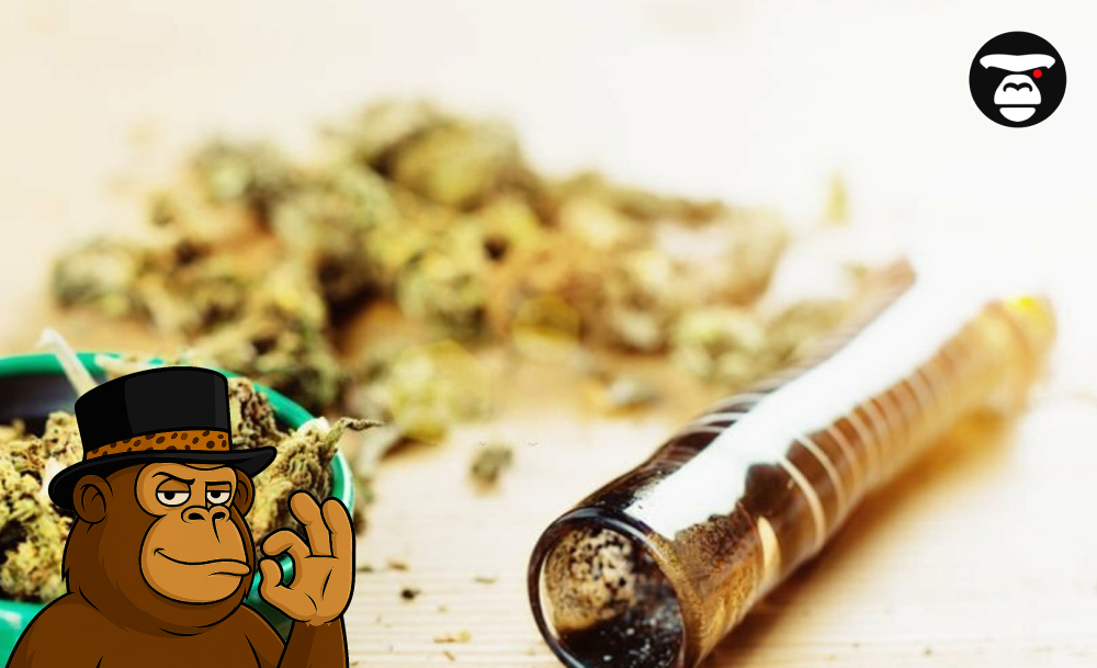 Glass smoking pipe or one-hitter next to ground cannabis flower and a green dish.