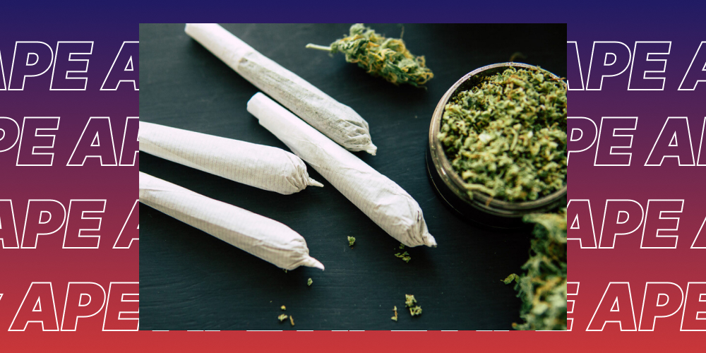Three white cannabis pre-rolls next to a grinder filled with ground flower on a dark surface