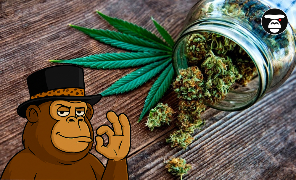 TOP 5 Weed Strains in Riverside Cannabis buds spilling out of a glass mason jar onto a wooden surface, next to a fan leaf and the ape mascot.