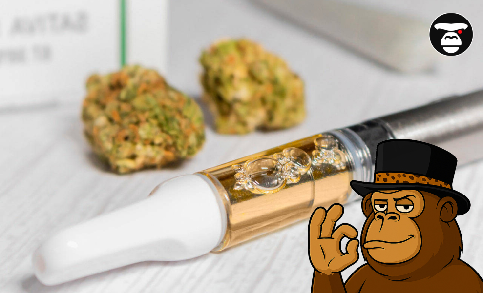 Close-up of a vape cartridge with golden oil next to two blurred cannabis buds on a light background.