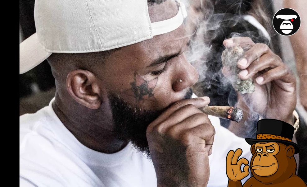How Cannabis Shaped Modern Music: From Jazz to Hip-Hop How Cannabis Shaped Modern Music_ From Jazz to Hip-Hop