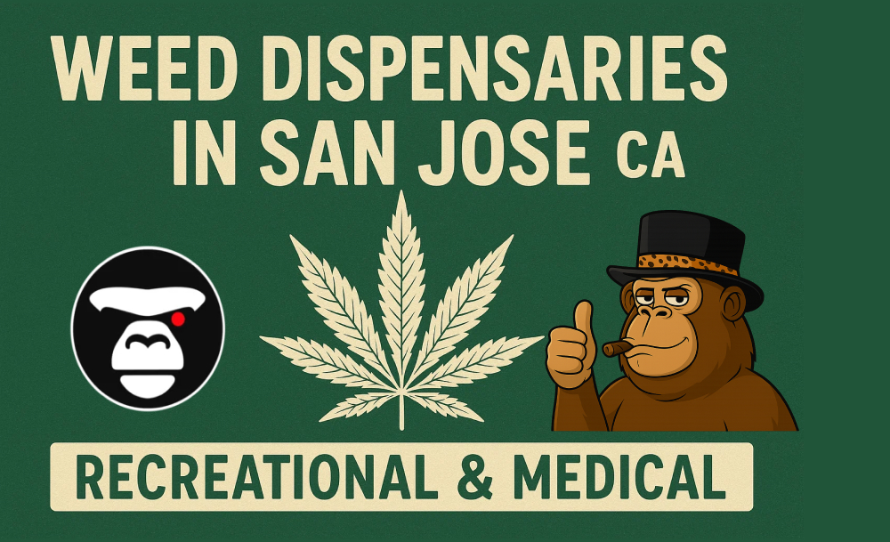 A green graphic with white text reading "WEED DISPENSARIES IN SAN JOSE CA RECREATIONAL & MEDICAL." It features a white cannabis leaf icon, an ape logo, and a cartoon ape mascot in a top hat giving a thumbs-up and smoking.