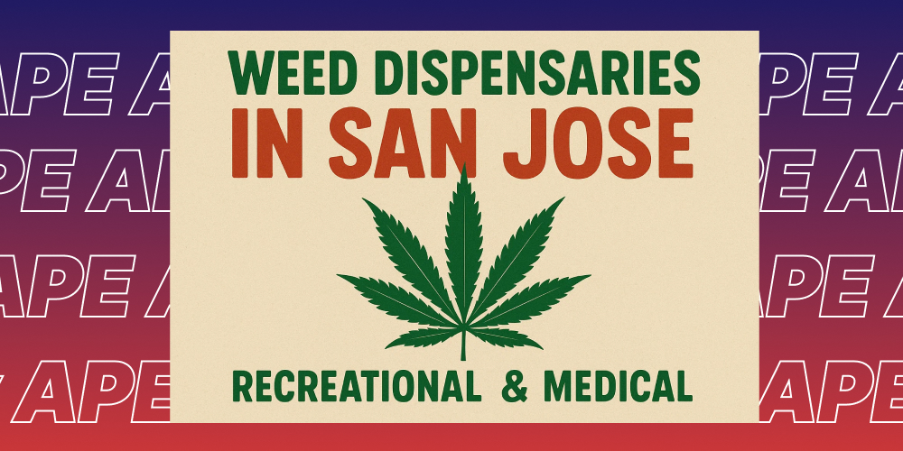 A graphic with a red and purple background repeating the word "APE." A central beige banner has a green cannabis leaf and text reading "WEED DISPENSARIES IN SAN JOSE RECREATIONAL & MEDICAL" in green and red.