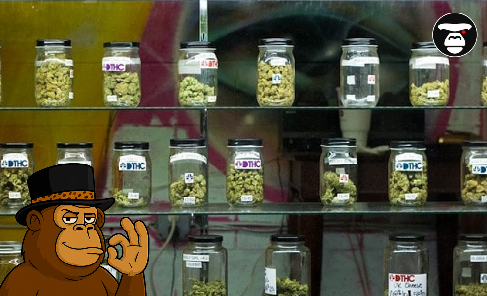 Weed Dispensaries in San Diego Multiple rows of small glass jars filled with cannabis on a dispensary shelf.