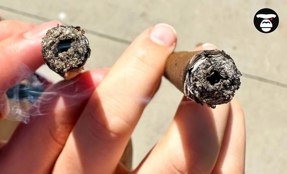 A close-up photo of a person holding two lit cannabis rolls. The roll on the left is a joint, and the one on the right is a blunt. Both have a visible dark, crater-like hole in the center of the burnt end, a sign of the melting concentrate core. Smoke is rising from the joint.