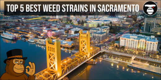 Top 5 Best weed strains in Sacramento
