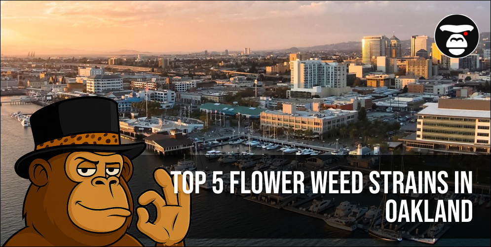 Top 5 Flower Weed Strains in Oakland